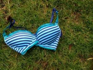 Bra Image for Undie Run post