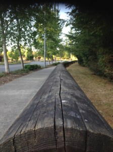 The funnest part of my walk- the balancing